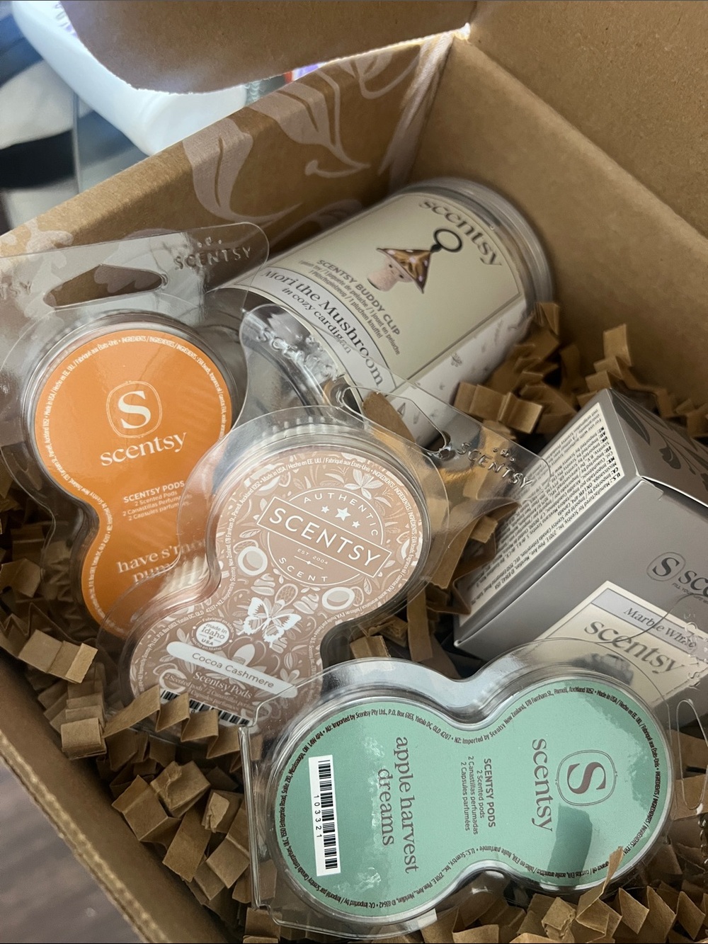 NEW Scentsy August 2026 Whiff Box Fall Bundle – $63 Value